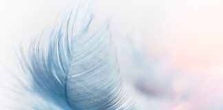 Czy wiatr 80 km h to dużo?