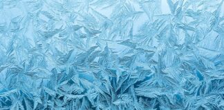 Jak zabezpieczyć kota przed mrozem? Jak zabezpieczyć kota przed mrozem?