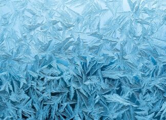 Jak zabezpieczyć kota przed mrozem?