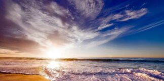 Na co pomaga picie marchwi?