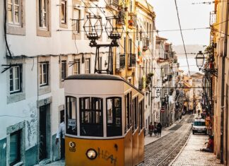 Jaki wózek typu parasolka?