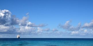 Przed czym chroni markiza? Przed czym chroni markiza?