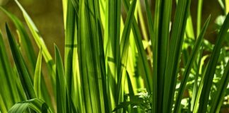 Jak zwiększyć popęd seksualny u mężczyzn? Jak zwiększyć popęd seksualny u mężczyzn?