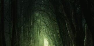 Co się robi w gangu?