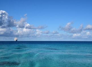 Jaki materiał na markizy?