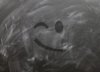 Czy można zamykać kota?