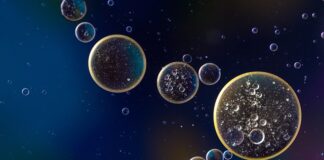 Co jest złego w oleju palmowym? Co jest złego w oleju palmowym?