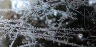 Czy można mrozić masło 82%? Czy można mrozić masło 82%?