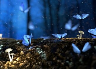 Co dodać Aby grzyby nie straciły koloru?