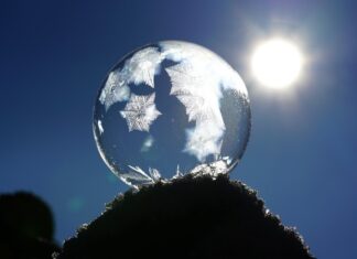 Kiedy jest za zimno dla kota?