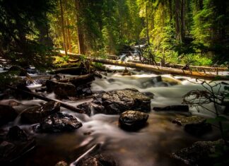 Jak nosić wełniana opaskę? Jak nosić wełniana opaskę?