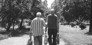 Na jaką długość strzyc maltańczyka? Na jaką długość strzyc maltańczyka?